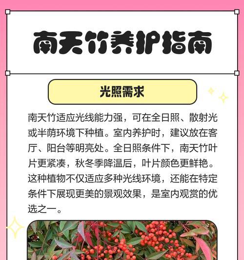 南天竹盆景的养护技巧是什么？