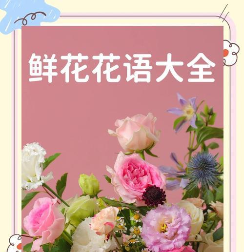 斑马花的正确养护方法和常见问题解答？