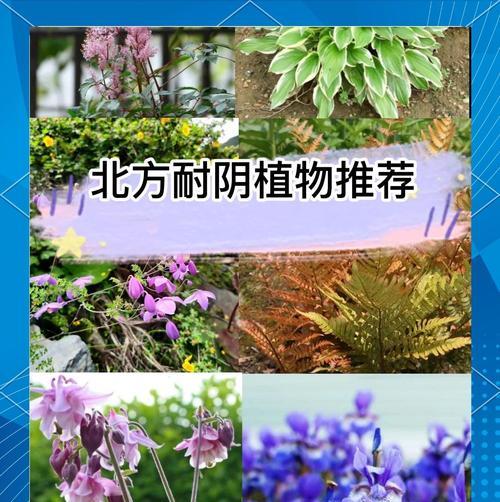 北方适合养殖什么植物？哪些植物能在北方冬季存活？