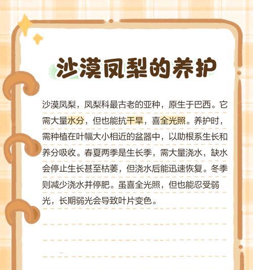 凤梨花的神奇功效：它能带来哪些好处？