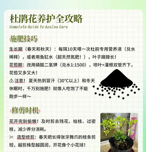 映山红的养殖技巧和常见问题解答？