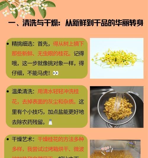 桂花树的养殖技巧和常见问题是什么？
