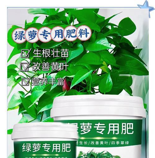 绿萝用什么肥长得快？绿萝施肥的正确方法是什么？