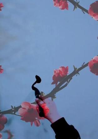 哪种花代表勇敢和勇气？