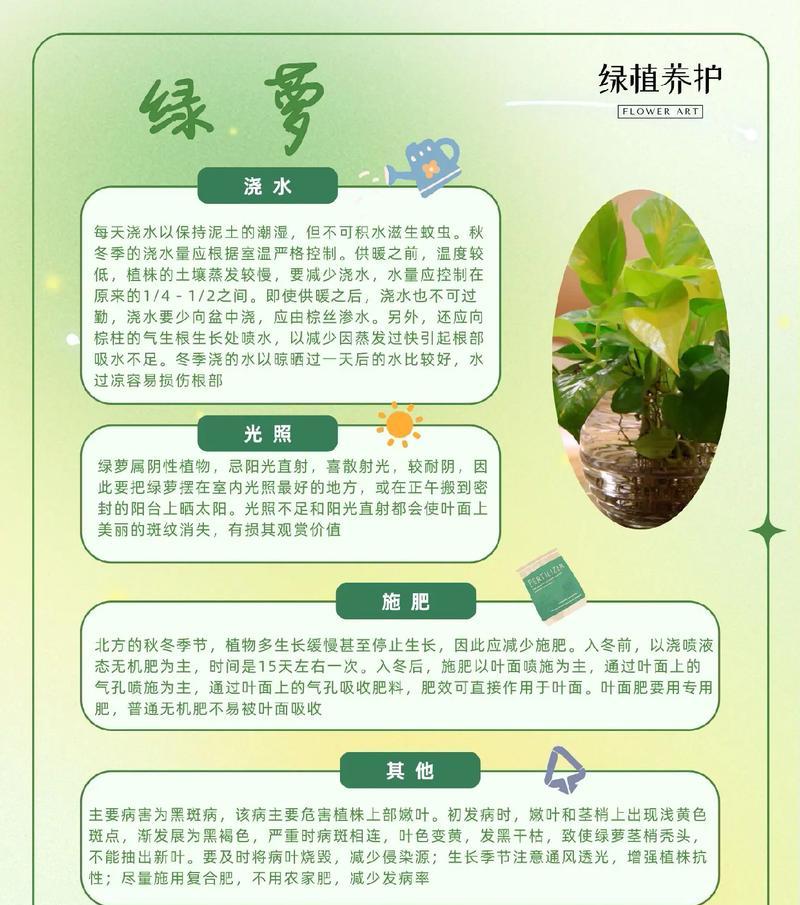 绿箩的养殖方法和注意事项？