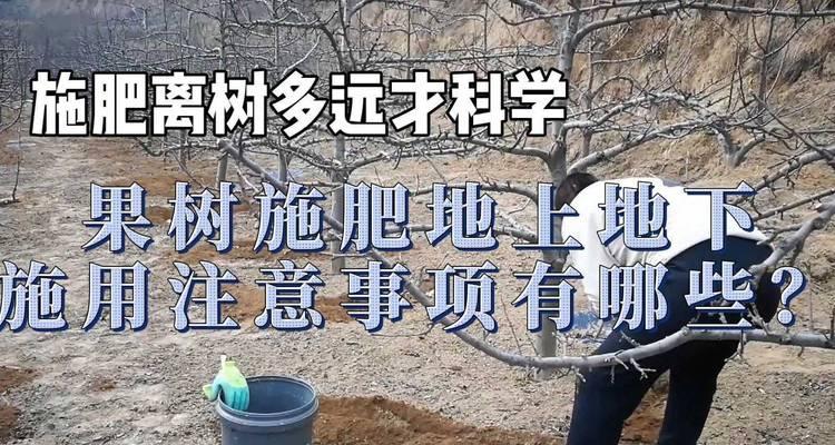 植物施肥的最佳时机是什么时候？怎样施肥才科学？