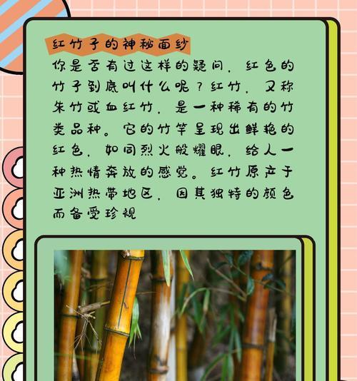怎么种植竹子？竹子种植的步骤和注意事项是什么？