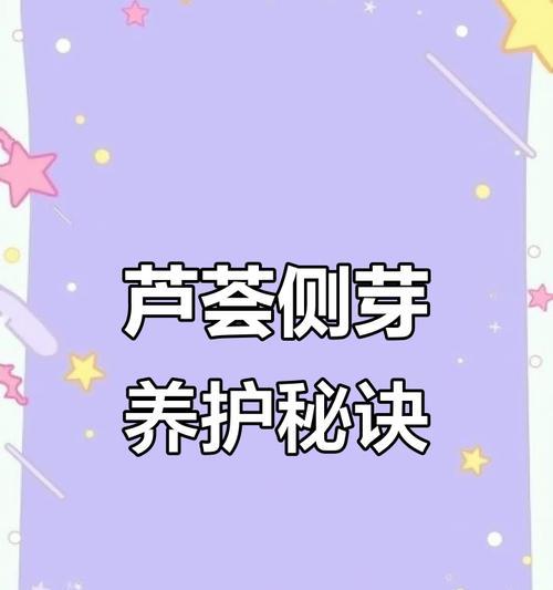 芦荟繁殖的方法和技巧有哪些？