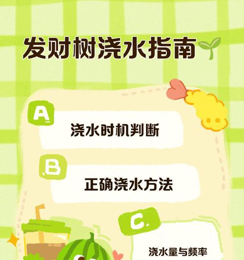 小盆发财树的浇水技巧和注意事项是什么？