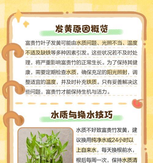 富贵竹叶子发黄的原因及解决方法是什么？