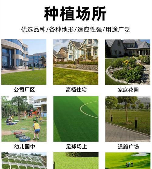草坪种植常用哪些品种？各品种的适应环境如何？