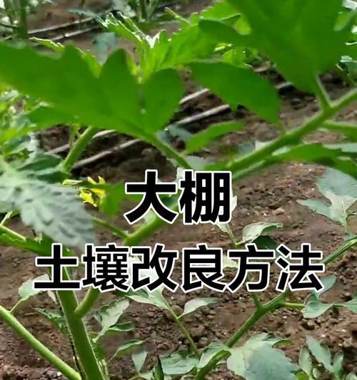 给土消毒的正确方法是什么？