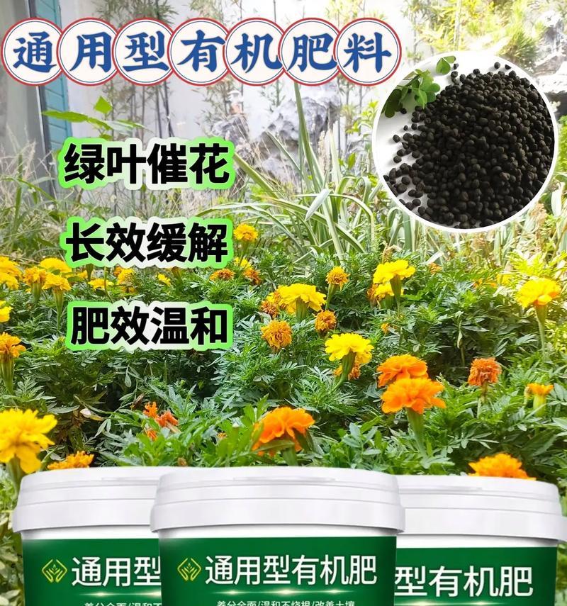 家庭养花应使用哪种肥料？施肥的正确方法是什么？