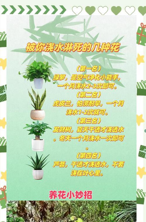花卉蔫萎的原因和解决方法是什么？