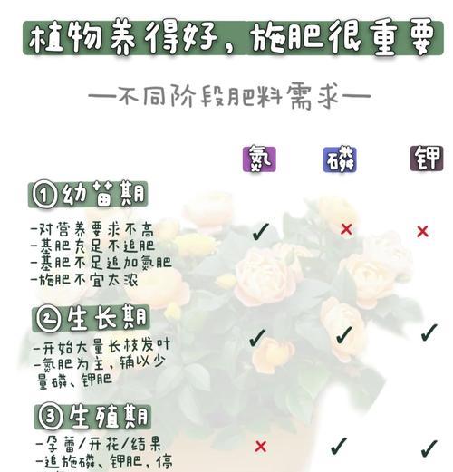 配制营养液的步骤和比例是什么？