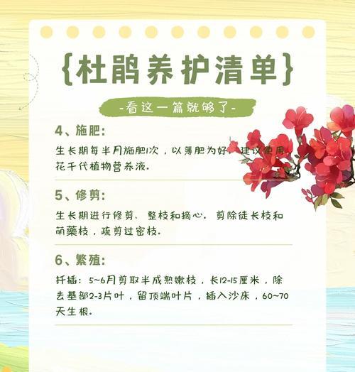 出门花的浇水技巧是什么？怎样判断其浇水时机？