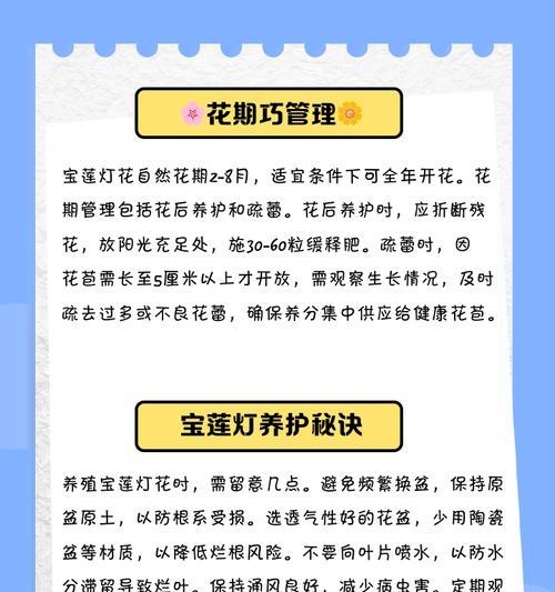 宝莲灯花怎么浇水？宝莲灯花的浇水技巧是什么？