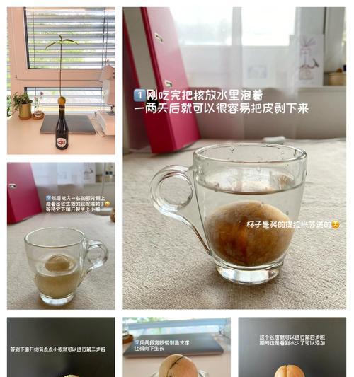 牛油果摆成花的步骤是什么？
