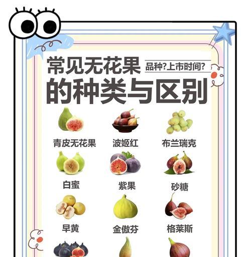 无花果树有哪些品种？如何选择适合的无花果树品种？