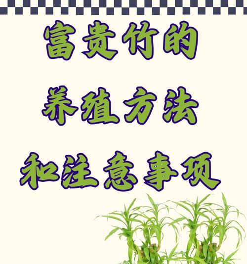 水养富贵竹的正确步骤是什么？