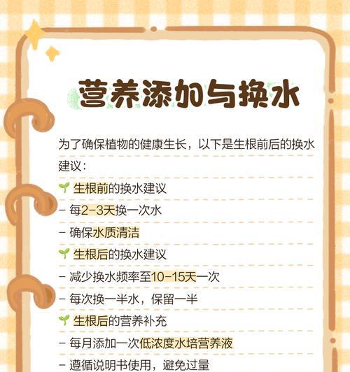 水养富贵竹的正确步骤是什么？
