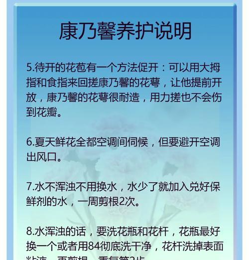 水养康乃馨需要注意什么？如何保持其新鲜？