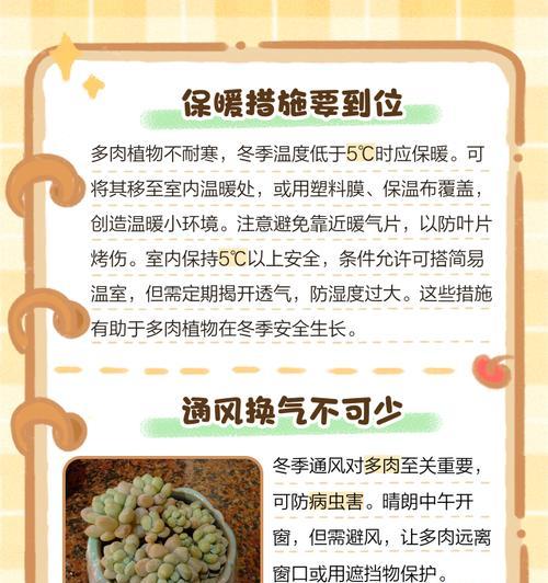 冬天植物的养护要点是什么？如何让植物安全过冬？