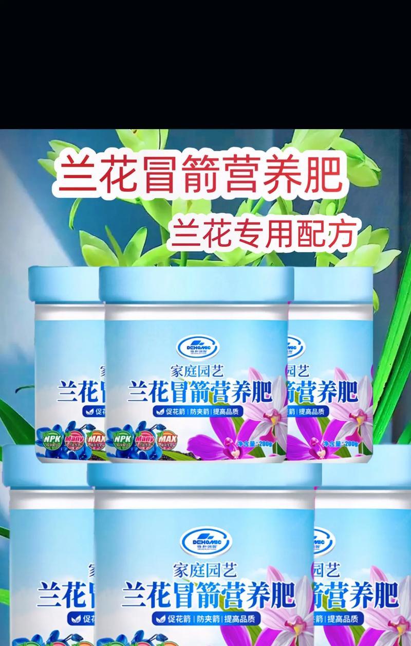 兰花的施肥方法是什么？应该使用哪种肥料？