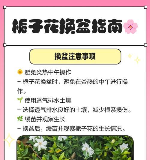 栀子花修剪技巧和最佳时机是什么？
