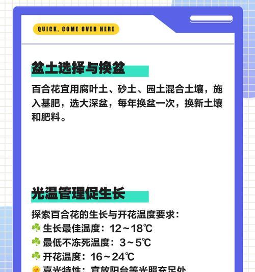 百合花的养护和繁殖技巧是什么？