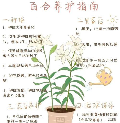 油点百合的养殖条件和注意事项有哪些？