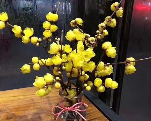 哪些花适合摆放在办公桌上？