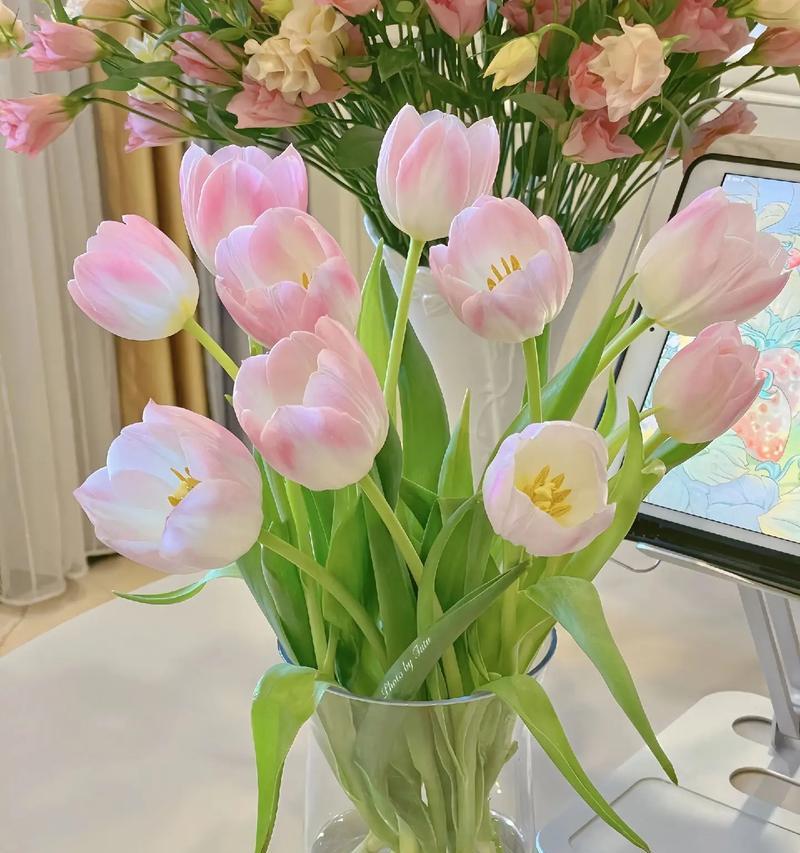 哪些花适合摆放在办公桌上？