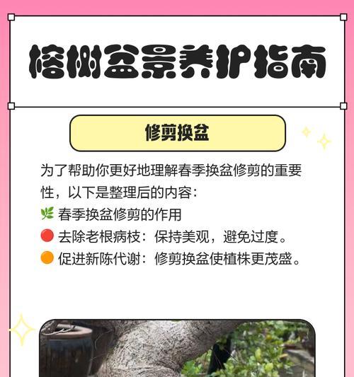 榕树盆景制作步骤是什么？