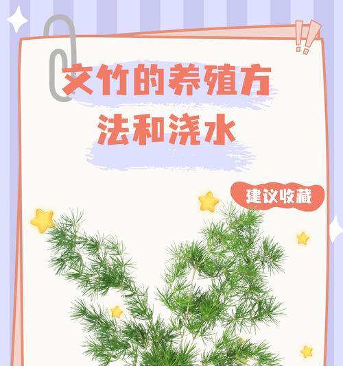 夏天植物浇水方法是什么？夏天给植物浇水需要注意什么？