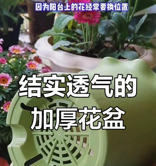 花盆透气性差的解决措施有哪些？