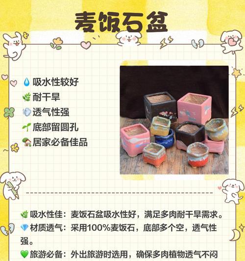 花盆透气性差的解决措施有哪些？