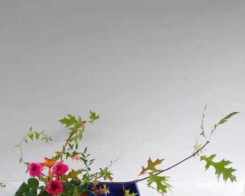 插花艺术中常用哪些花卉？如何选择合适的插花材料？