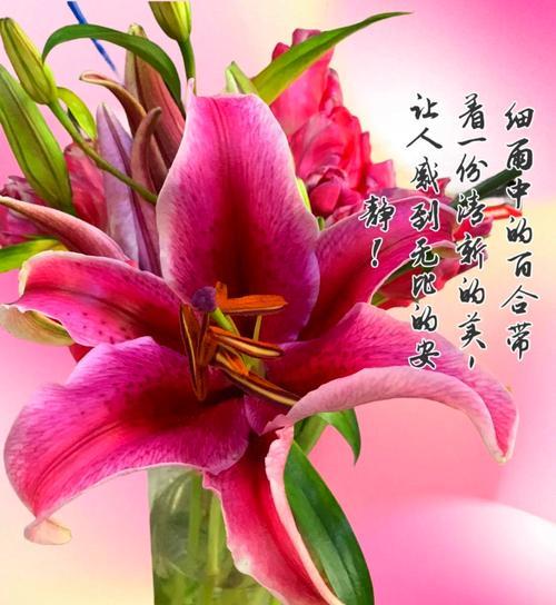 唐扇的养护方法有哪些？如何保持其美观？