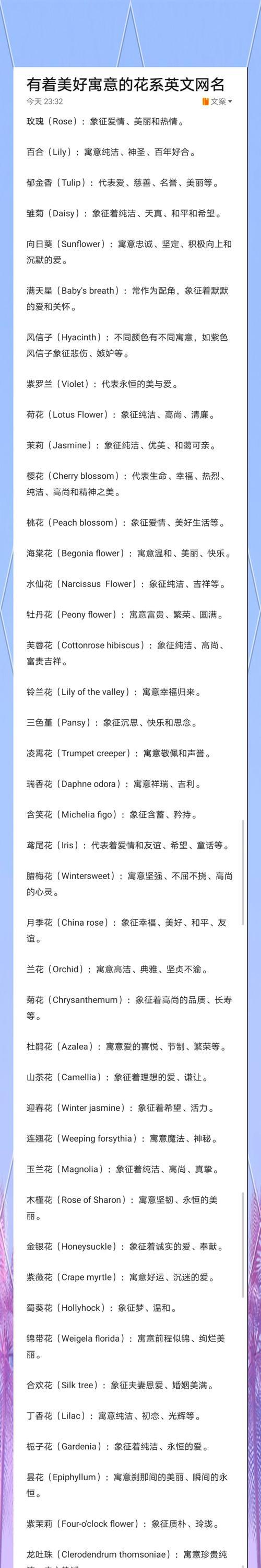 唐扇的养护方法有哪些？如何保持其美观？