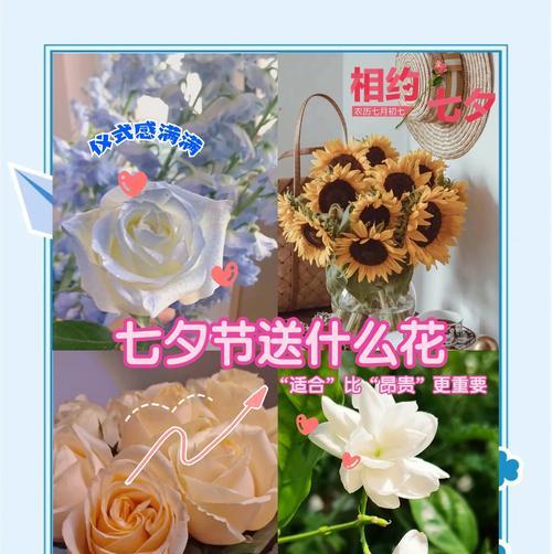 唐扇的养护方法有哪些？如何保持其美观？