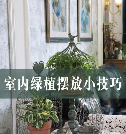 室内缺少绿色植物如何解决？