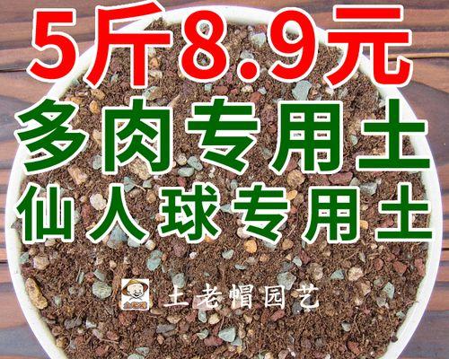 养仙人球用什么土最好？仙人球的土壤选择有什么讲究？