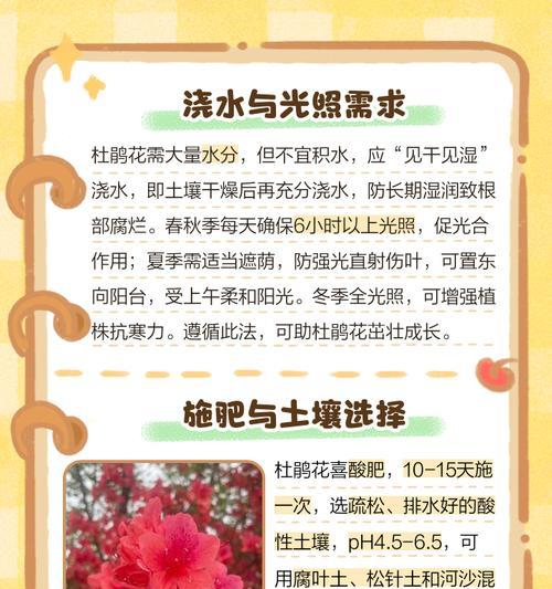 锦绣杜鹃的养殖方法是什么？