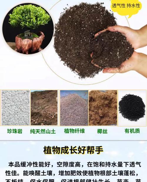 盆栽翻土的正确步骤是什么？翻土时应注意哪些问题？