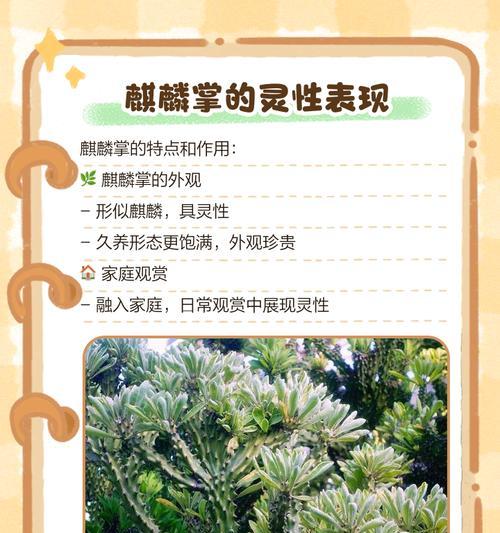 麒麟的养殖技巧有哪些？如何让麒麟生长得更快？