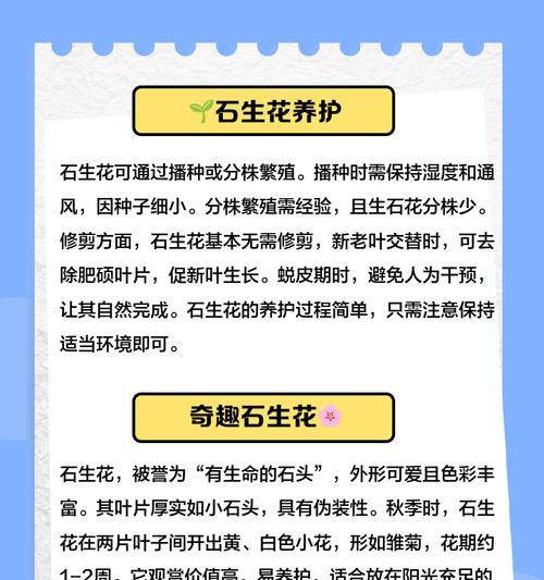 生石花有哪些稀有品种？如何寻找和养护？