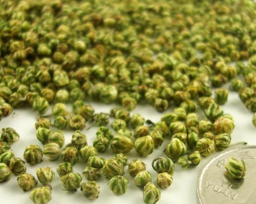 野菊花的繁殖方法有哪些？