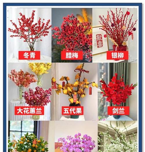春节期间适合养哪些花卉？春节花卉养护的注意事项有哪些？