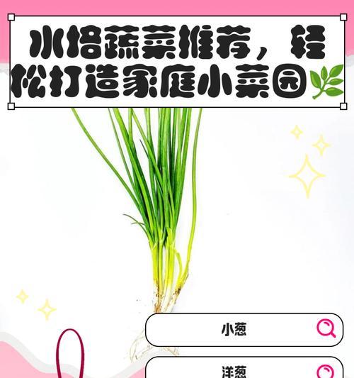如何水培蔬菜？水培蔬菜的正确步骤和注意事项是什么？